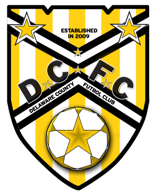 DCFC logo1.jpg