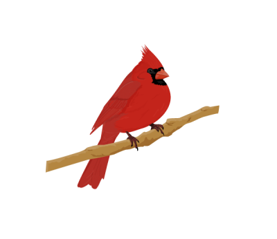 cardinal.png